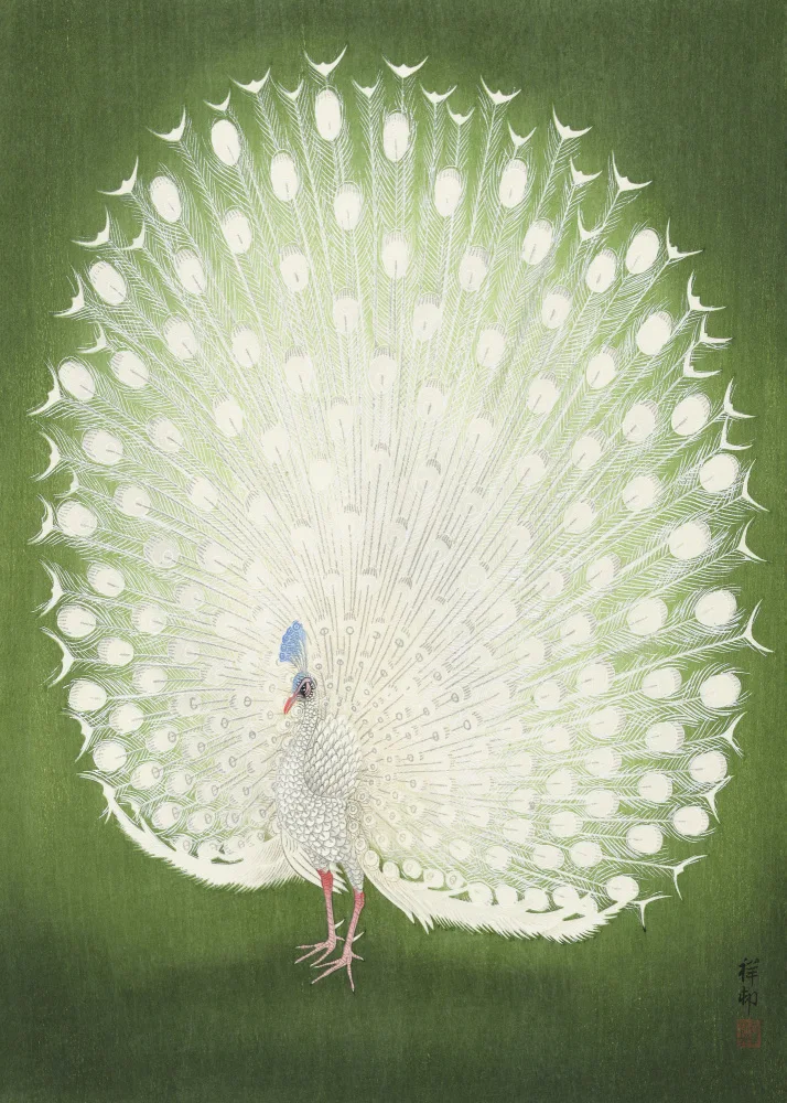Koson, Ohara: Peacock 50x70