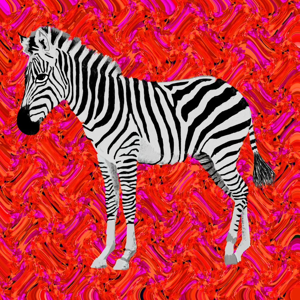 Rakos, Lynnda: Zebra