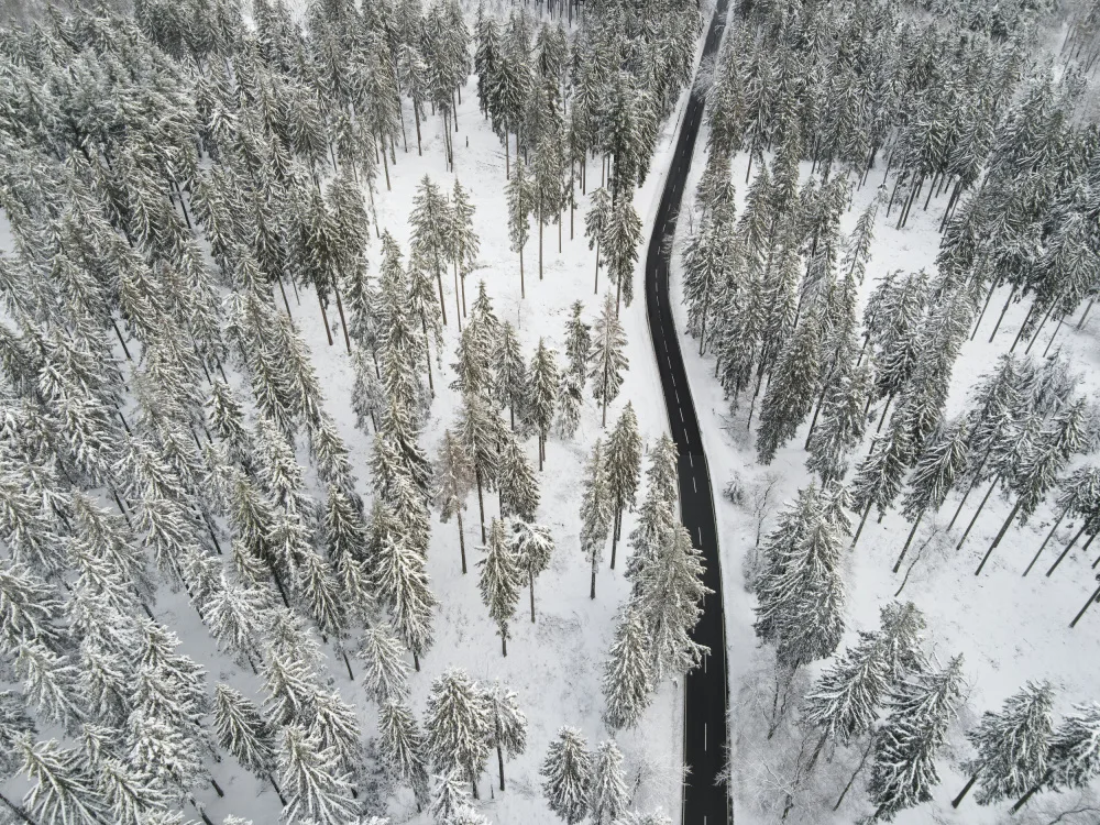 Böhmer, Mareike: Alberi coperti di neve 5