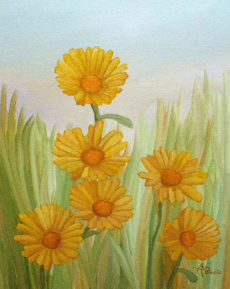 Pomata, M. Angeles: Champ de marguerites jaunes
