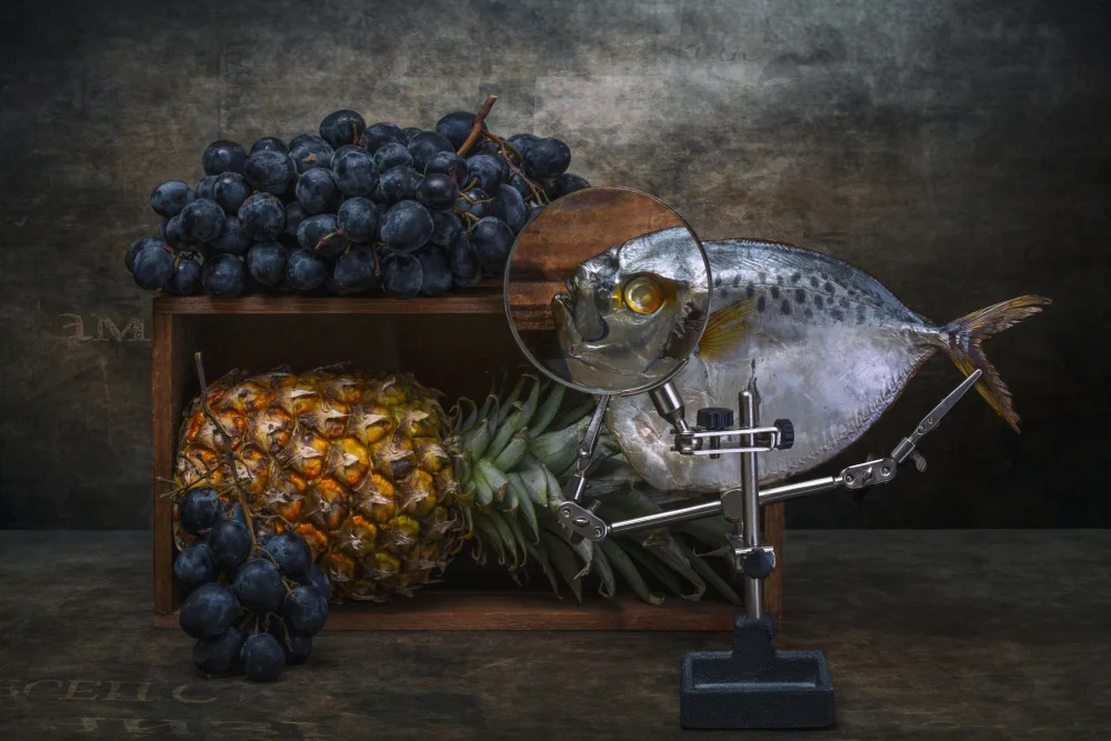 Barkow, Brig: Moonfish,uva e ananas