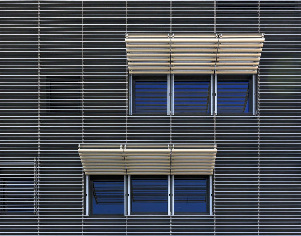 Houte, Van Jef: Blaue Zwillinge