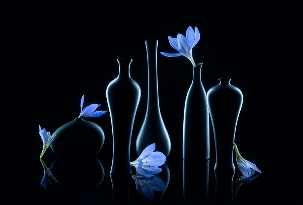 Jacobs, Lydia: Colchicum azul