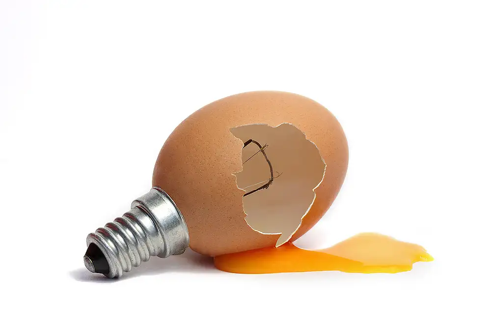 Bizziocchi, Marco: Energia alternativa