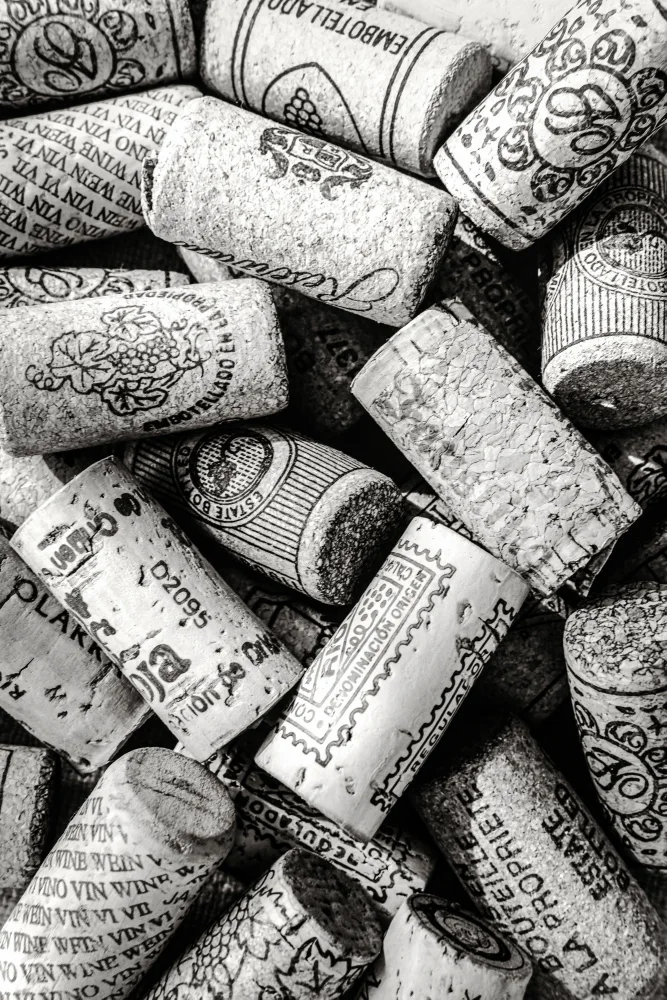 Studio, Pictufy: Wein 001 Bw