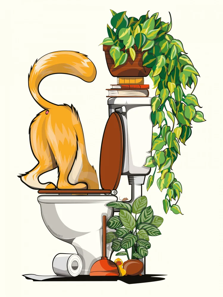 Washroom, The In: Cat Drinking From the Toilet