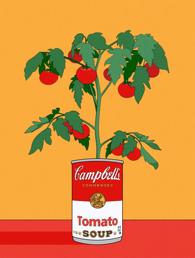 Retrodrome: Campbells polévka rostlina rajčat retro ilustrace