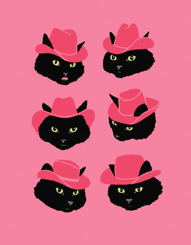 Yeehaw, Can Anyone: Marcy le chat cow-girl