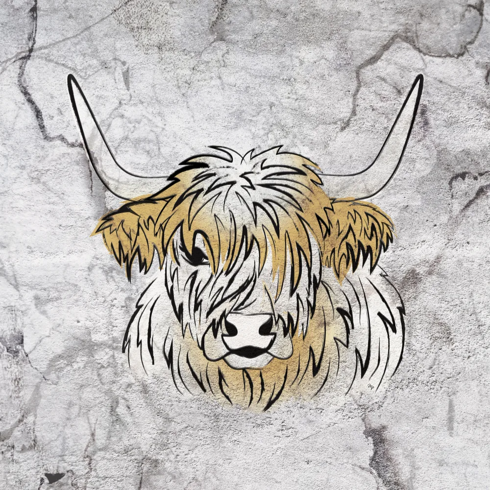 Martina: Vache des Highlands