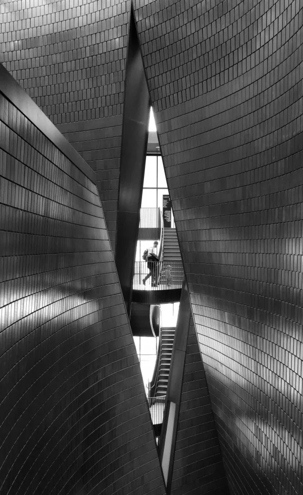 Adams, Lynn: Chasing Light