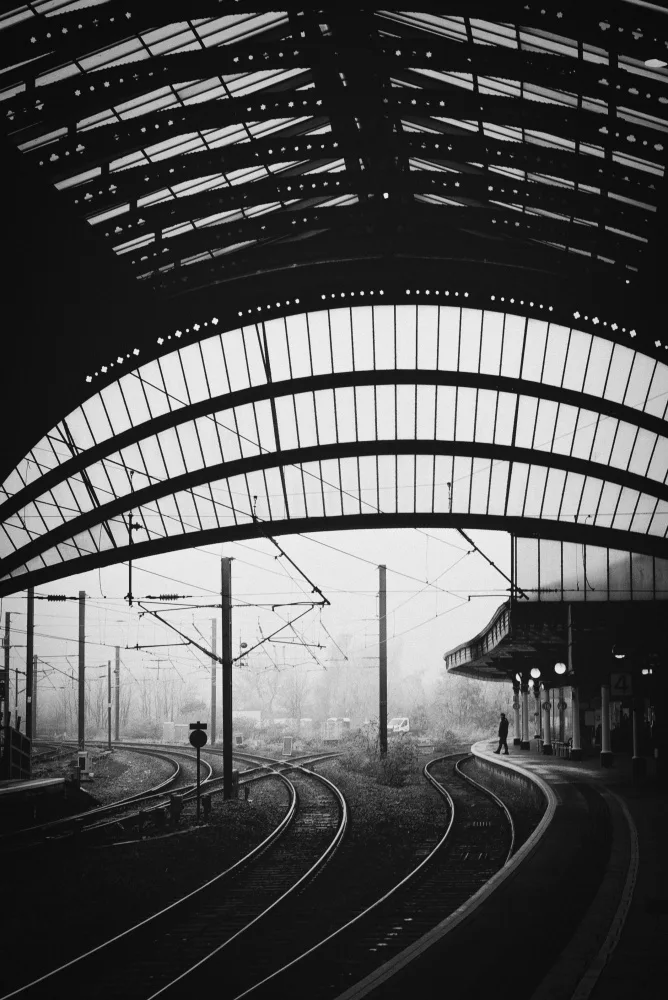 Ovidiu, Selaru: Linee