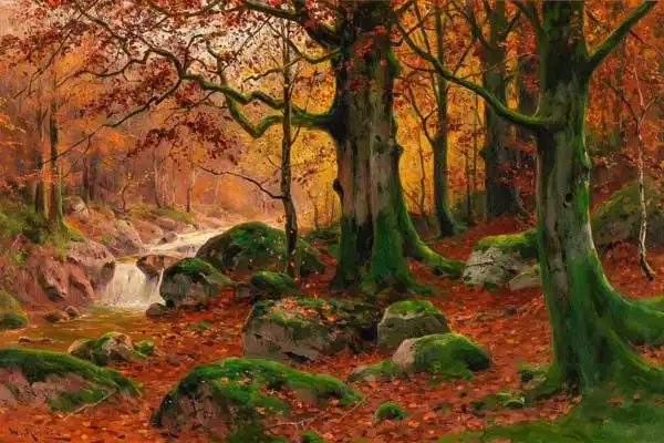 Moras, Walter: Forêt d