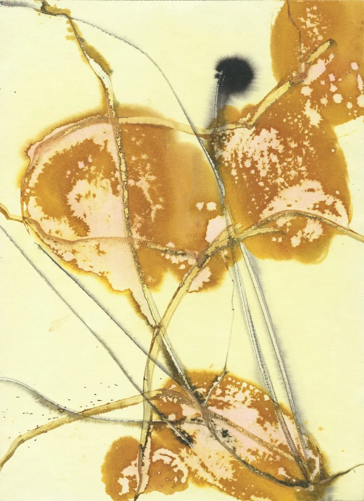 Belaubre, Frederic: Le abstrait floral 2