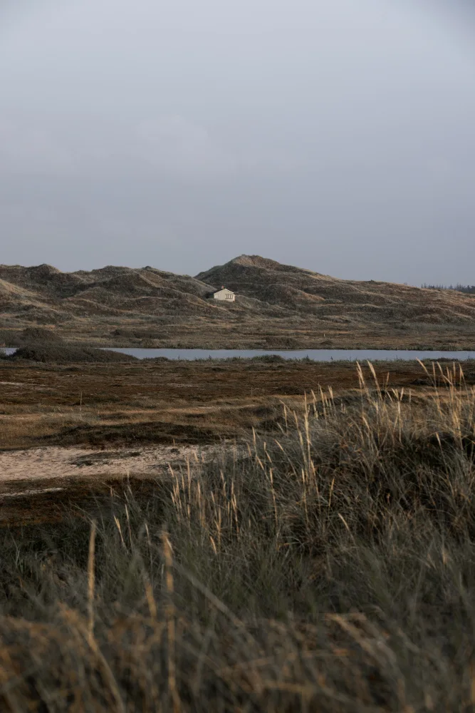 Böhmer, Mareike: Casa nelle Dune