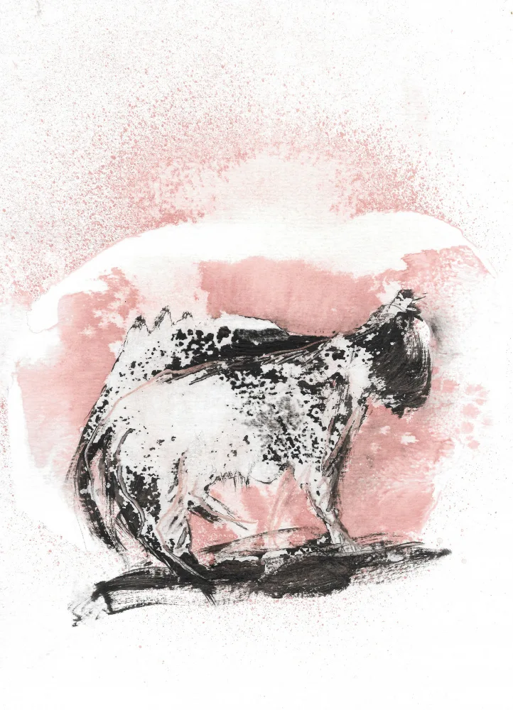 Belaubre, Frederic: Le chat