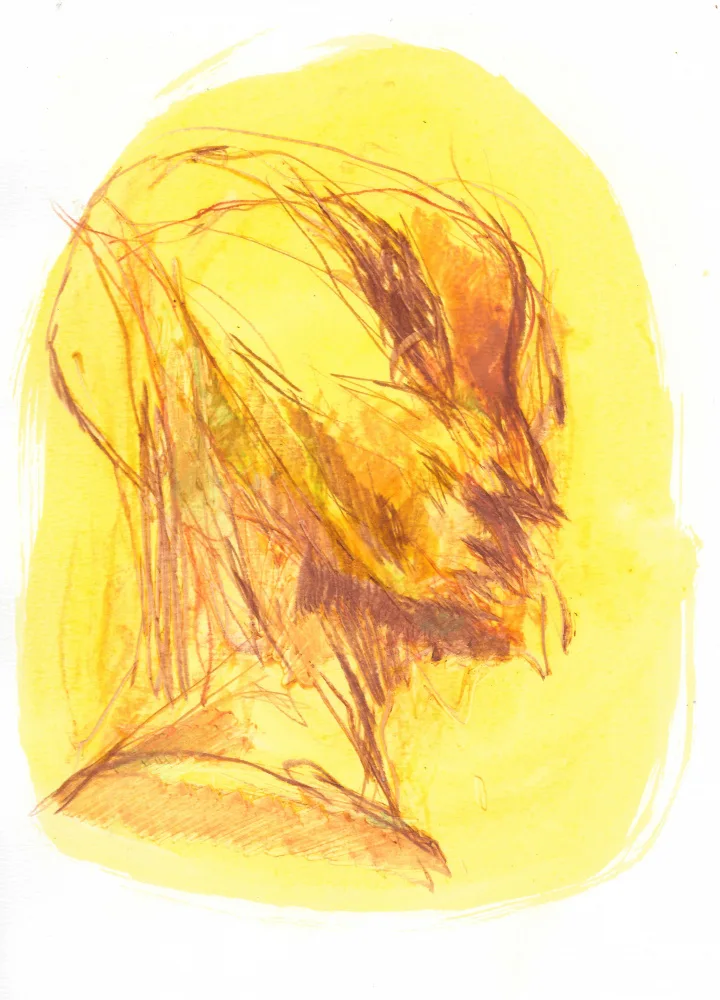 Belaubre, Frederic: Le portrait 1