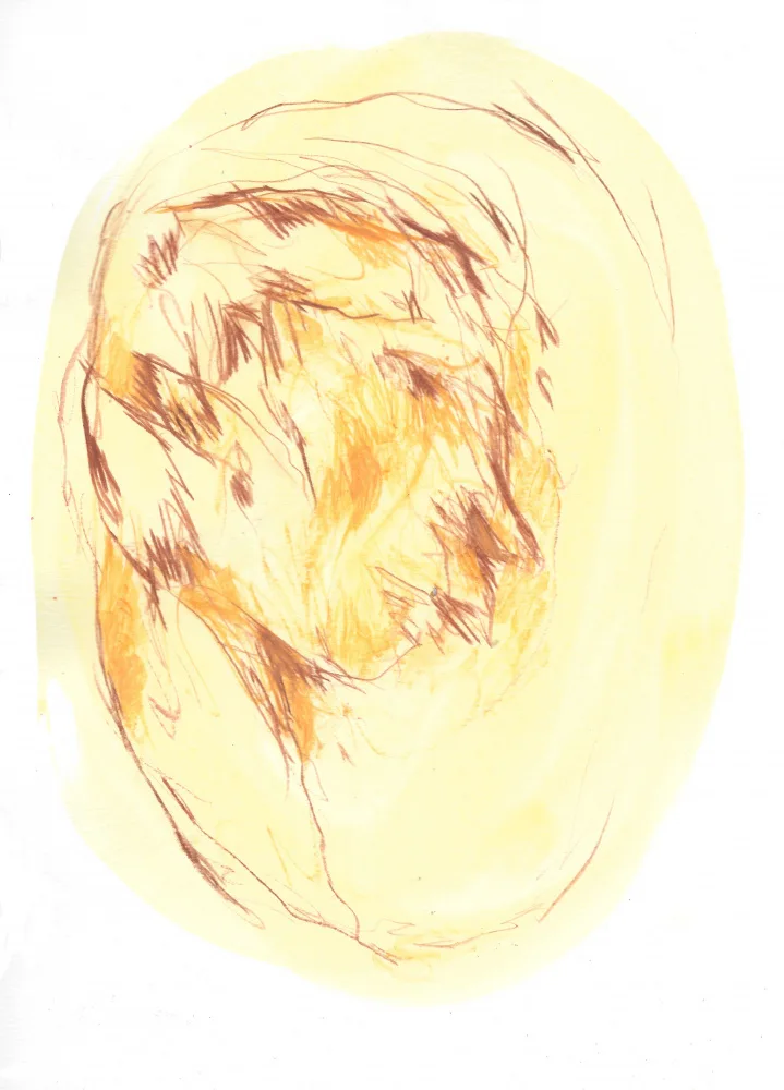 Belaubre, Frederic: Le portrait 2