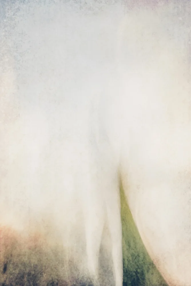 Imaginative: Arbre en mouvement