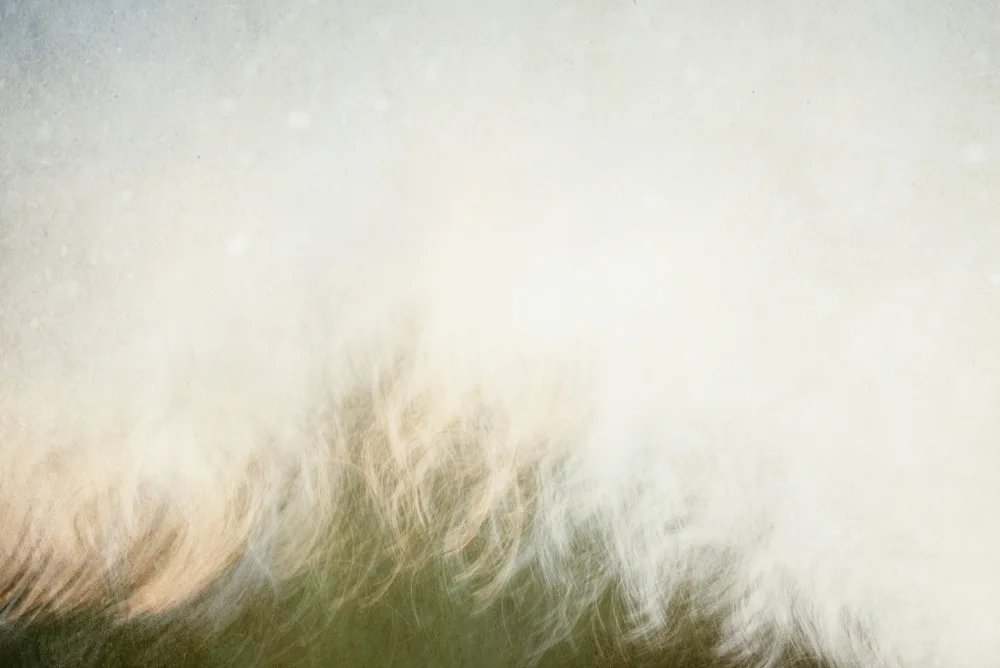 Imaginative: Paysage en mouvement
