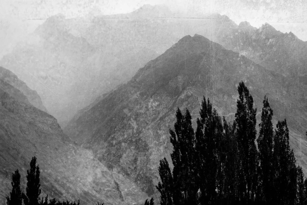 Imaginative: Trees in the mountains
