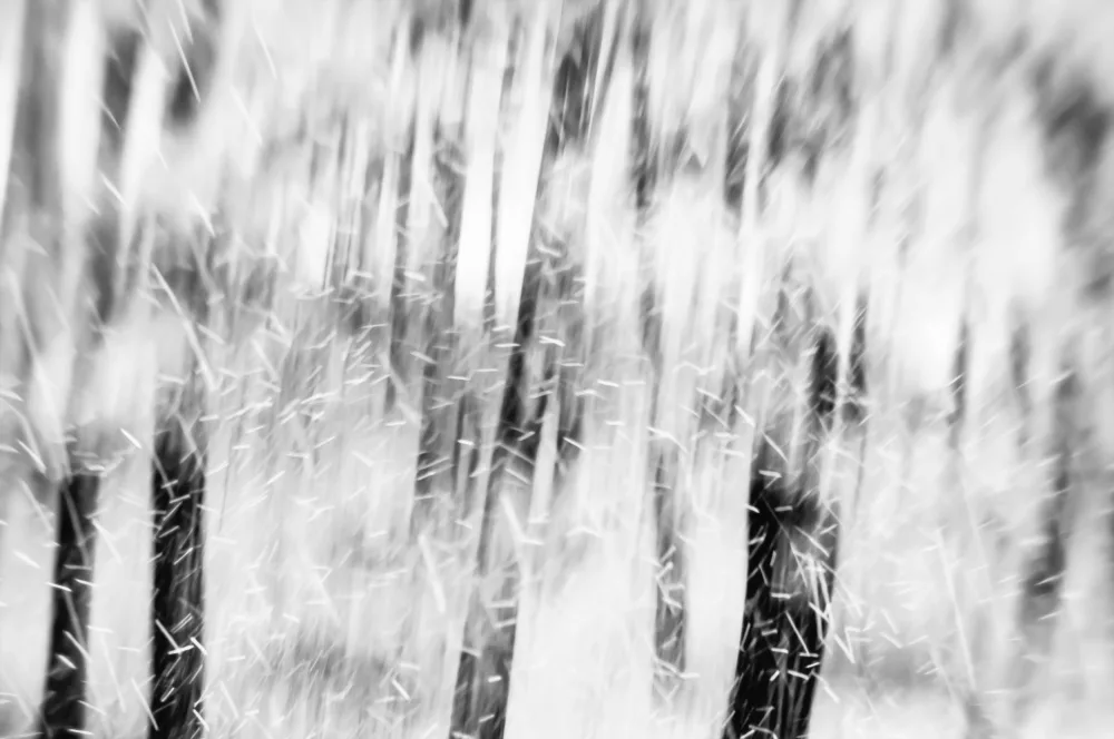 Imaginative: Il neige dans la forêt