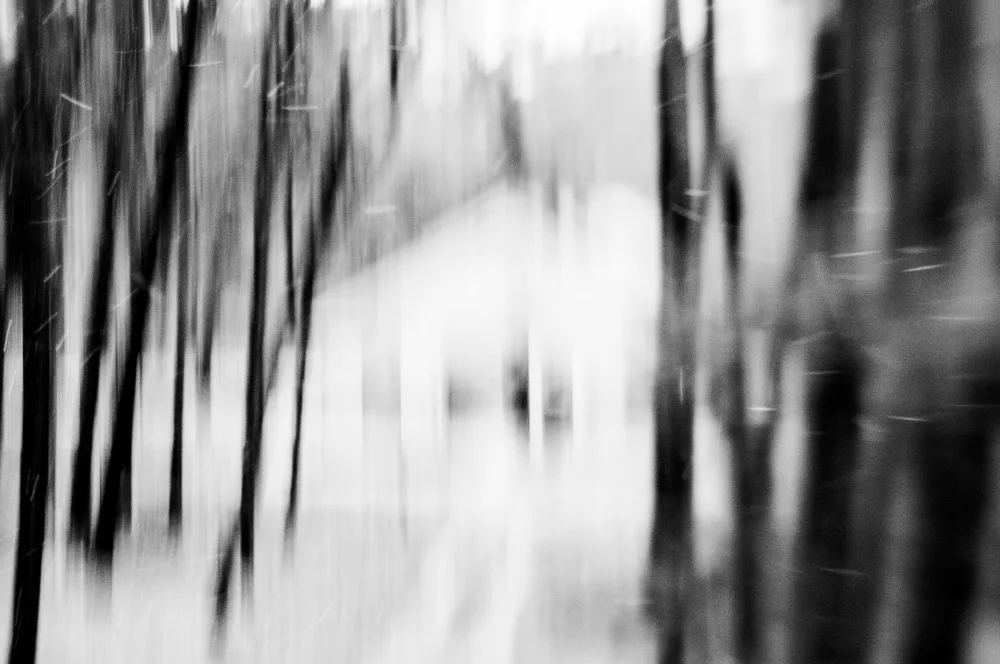 Imaginative: House in the forest
