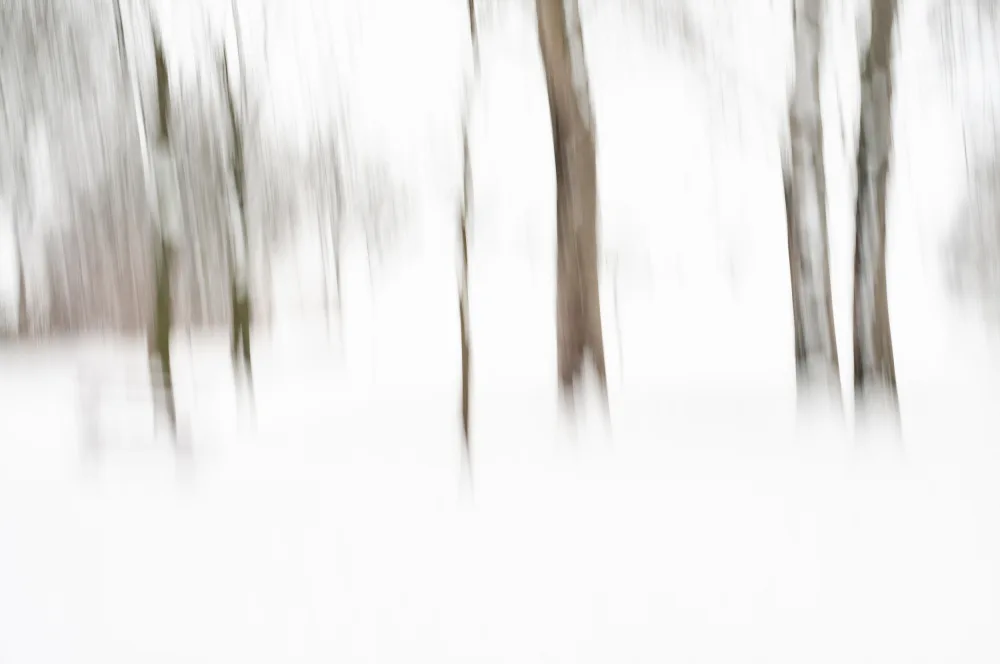 Imaginative: L'hiver