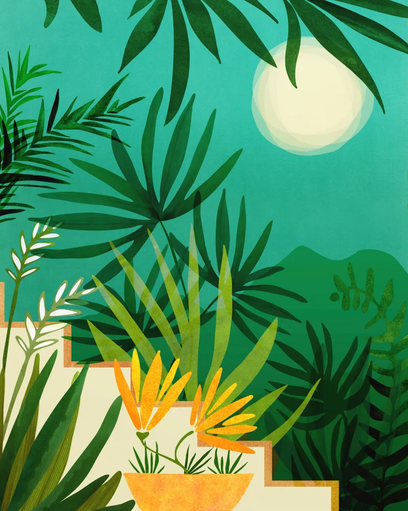 Gallagher, Kristian: Exotic Garden Nightscape