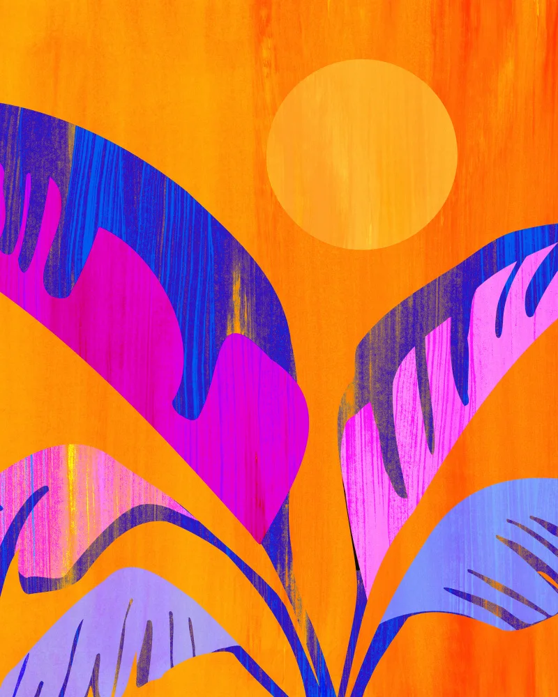 Gallagher, Kristian: Mystic Tropics