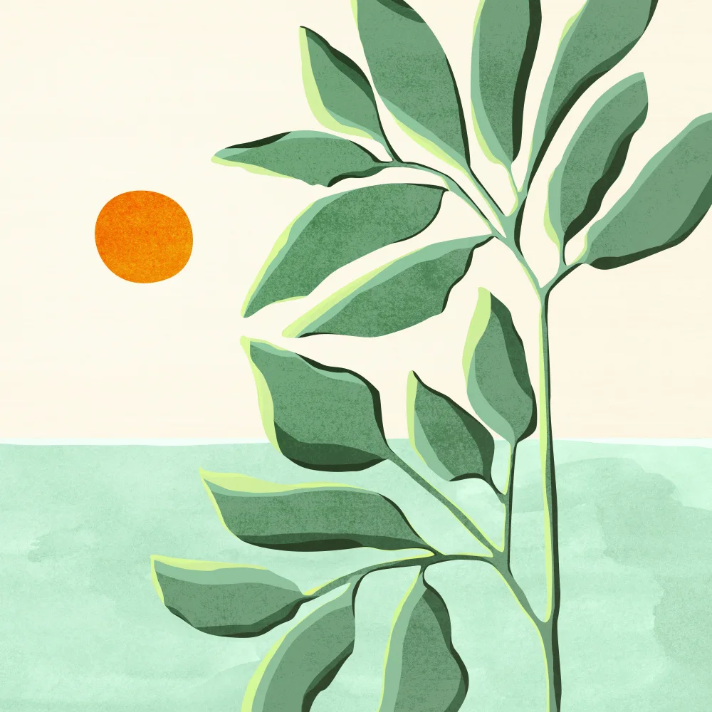 Gallagher, Kristian: Sunset At the Beach House No2