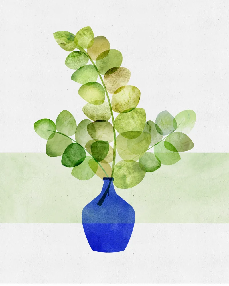 Gallagher, Kristian: Ilustración de planta de interior de eucalipto