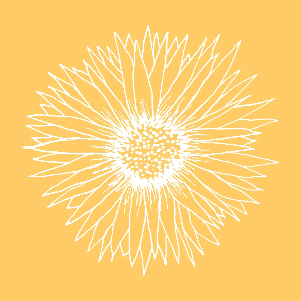 Gallagher, Kristian: Line Art Sunflower 2