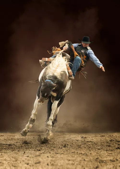 little7: Bez sedla Bronc Riding