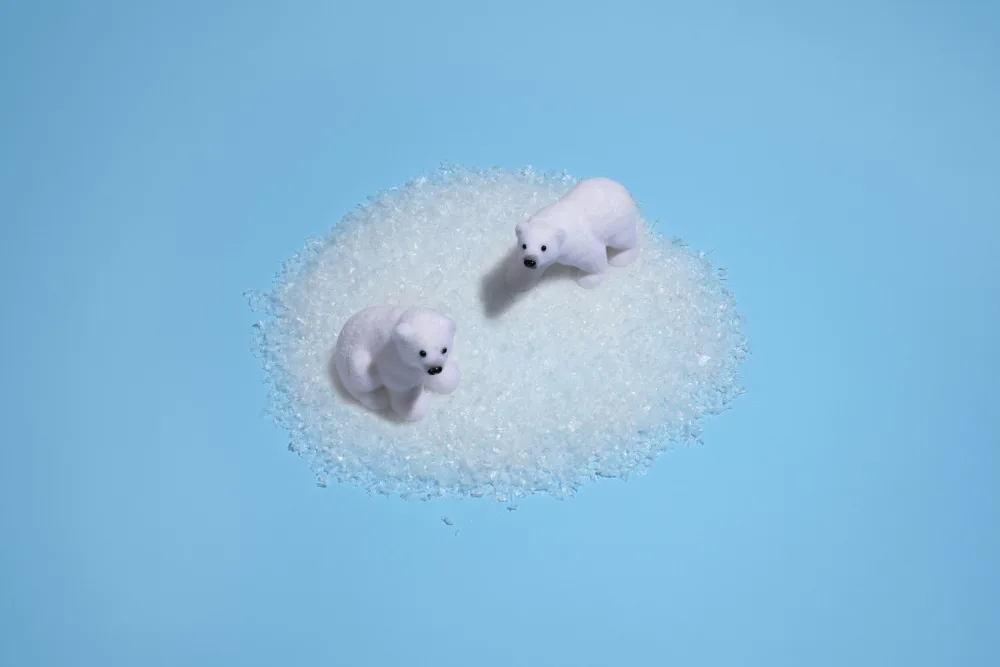 Ramiro, Julia: Schneebedeckte Gelassenheit