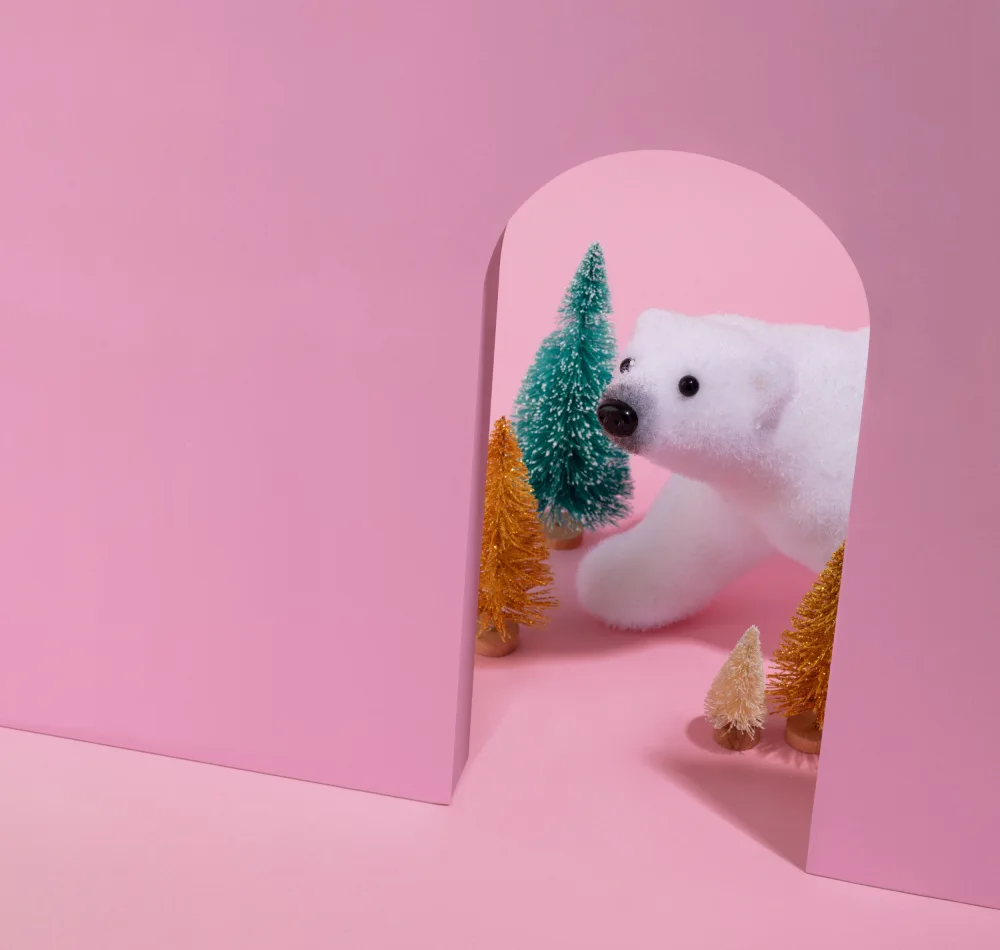 Ramiro, Julia: Polar-Peekaboo
