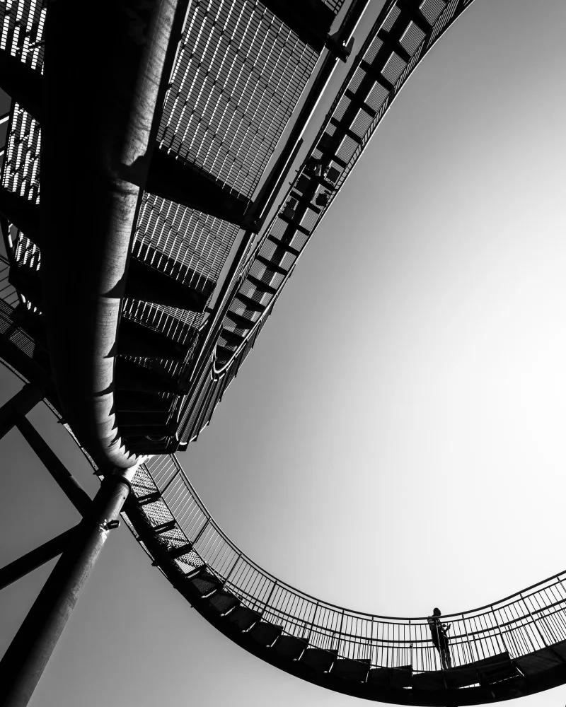 Steenhoudt, Sofie: Una nuova interpretazione di Tiger&Turtle