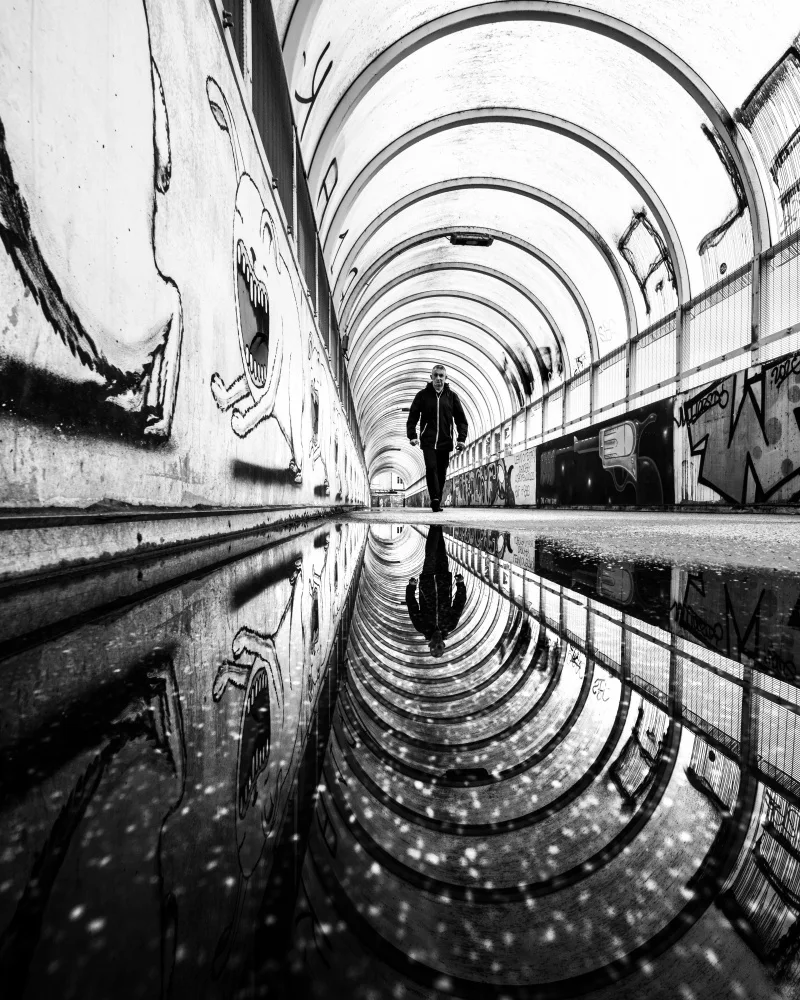 Steenhoudt, Sofie: Riflessione del tunnel