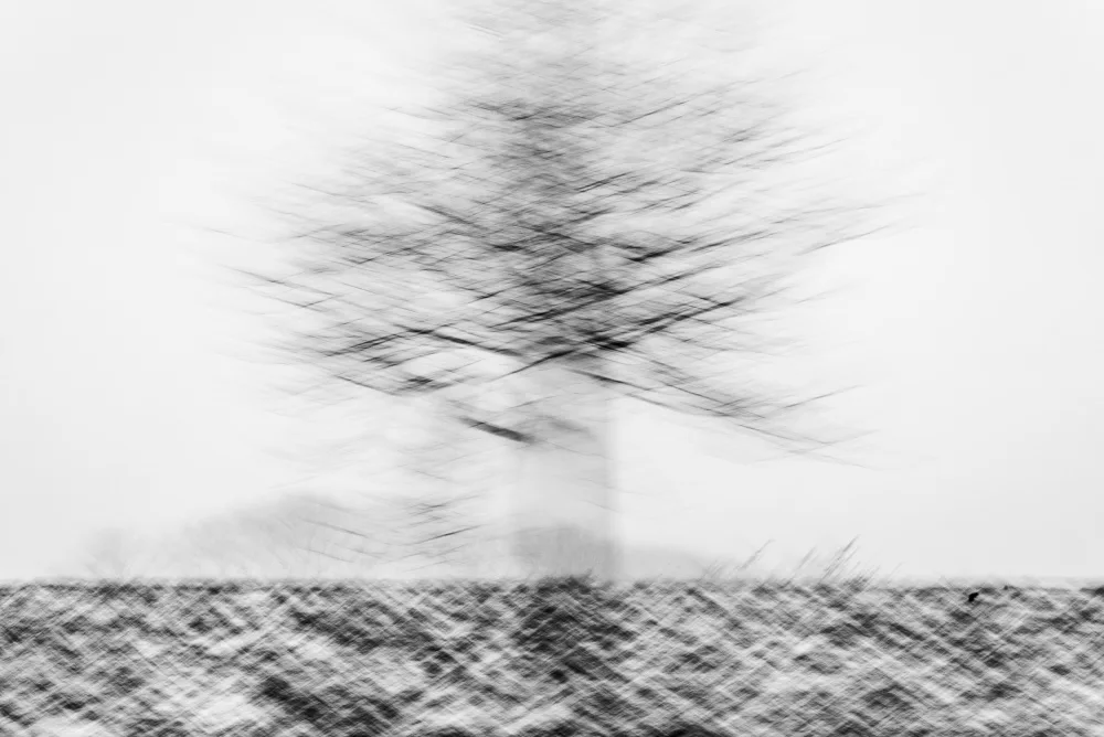 Imaginative: Moving tree in the snow
