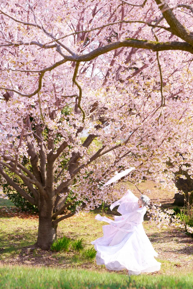 Suemasa, Hiroaki: Frühlingswind