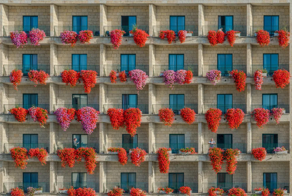 Prybinski, Miroslaw: Balkonblumen