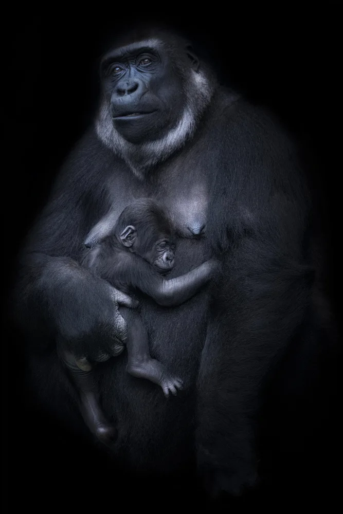 Ruiz, Saavedra Sergio: Retrato de una madre orgullosa.