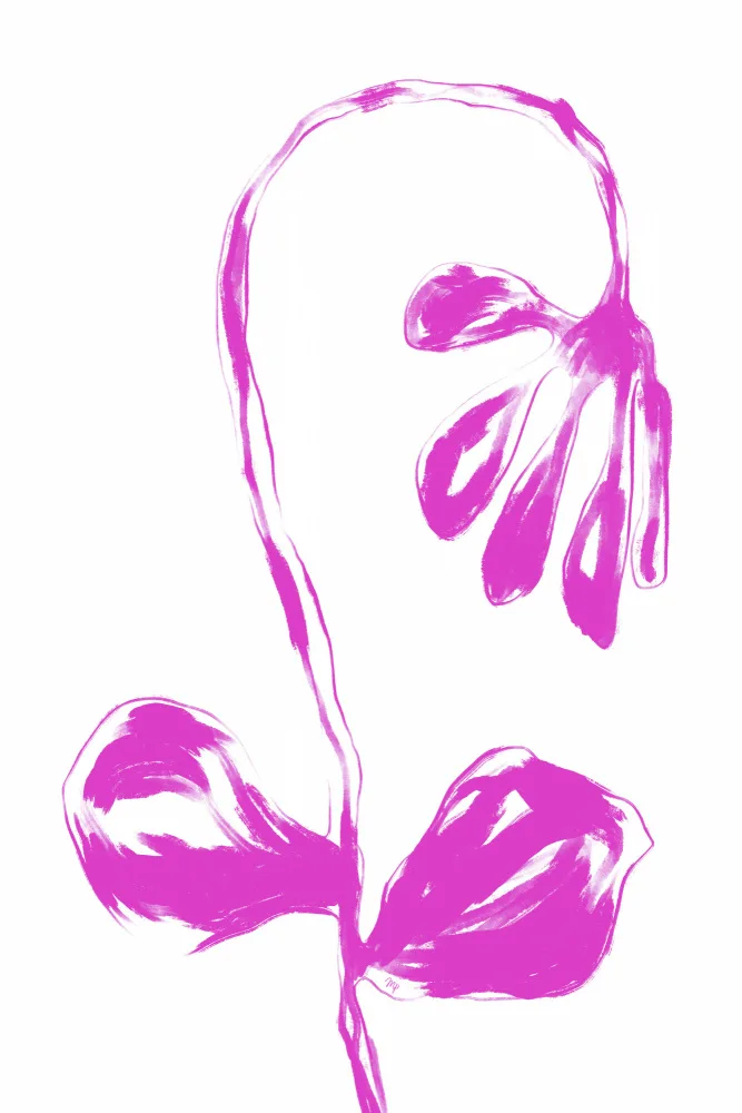 Martina: Fleur rose