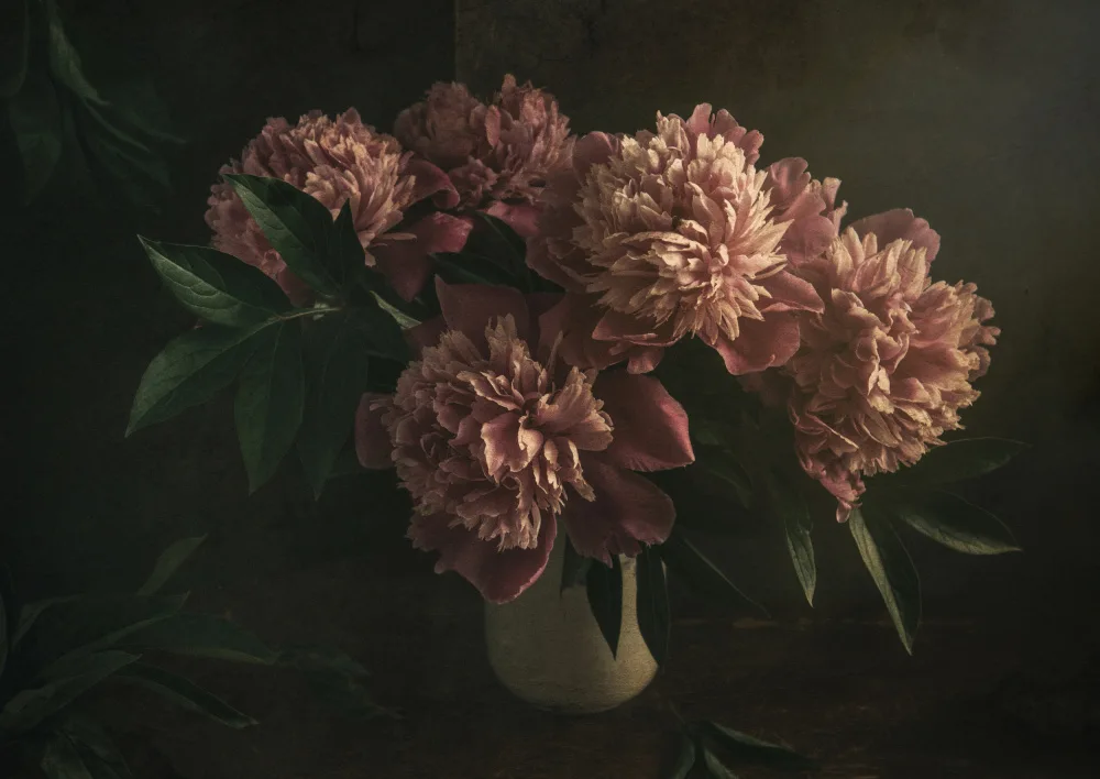 Tokarev, Igor: Peonie rosa