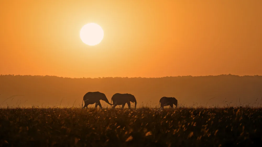 Fan, John: Sonnenuntergangsspaziergang