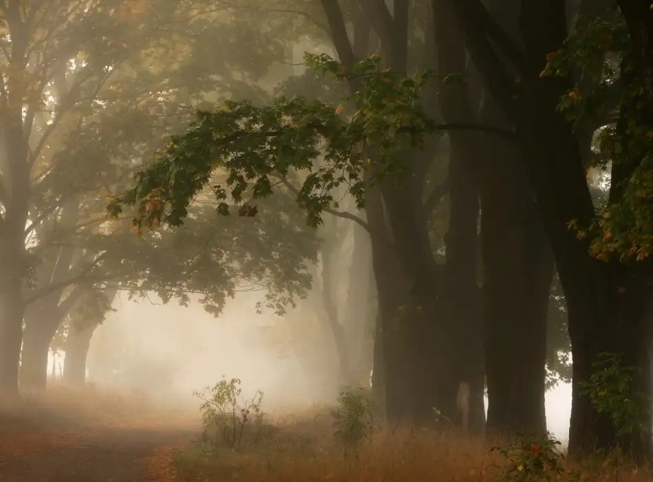 Kruk, Przemyslaw: Herbst