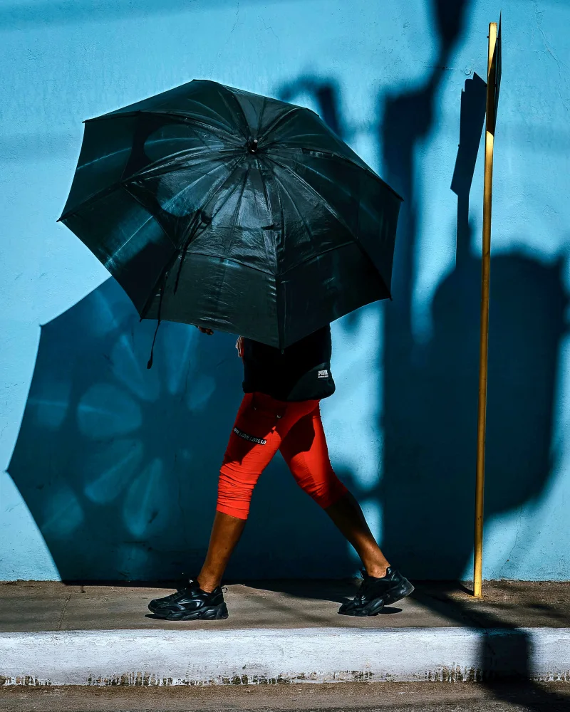 Bauer, Andy: Regenschirm