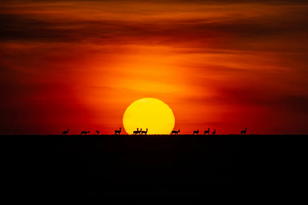 Baltariu, Adrian: Sonnenuntergang