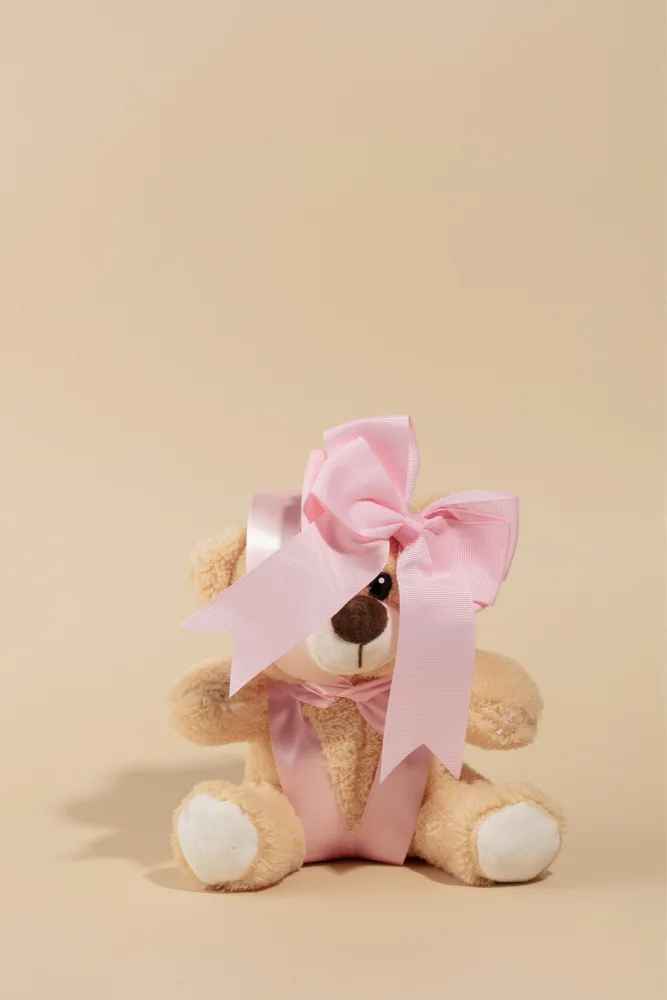 Ramiro, Julia: Oso de peluche con lazo rosa