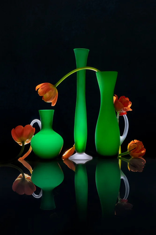 Jacobs, Lydia: Alegría de tulipanes naranjas