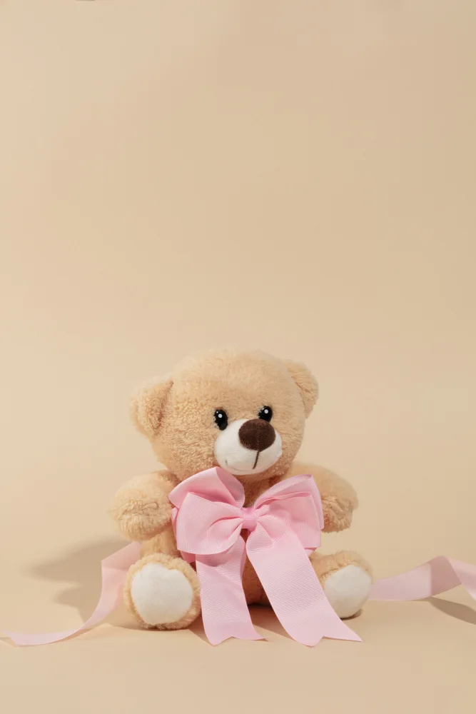 Ramiro, Julia: Teddybär mit rosa Schleife